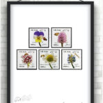 سری پستی گیاهان دارویی بزرگ