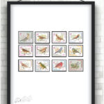 سری دهم پستی جمهوری اسلامی (پرندگان)